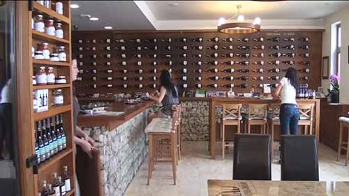 游览托卡伊葡萄酒产区