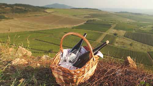 匈牙利托卡伊葡萄酒产区