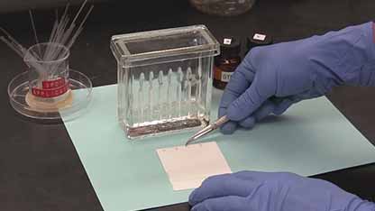 薄层色谱法实验1