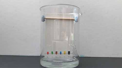 纸色谱实验3分离技术