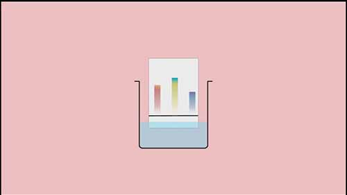 纸色谱法与薄层色谱法