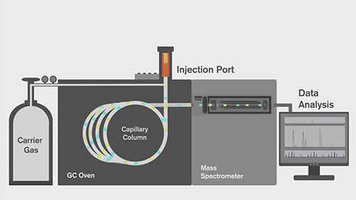 气质联用技术1原理