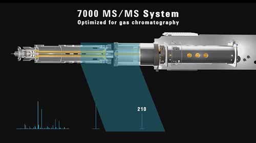 安捷伦7000D三重四极杆GC/MS