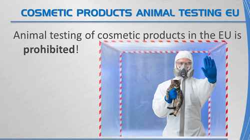 化妆品动物试验