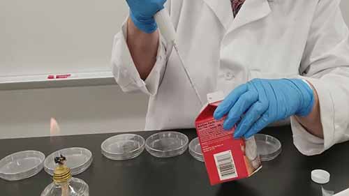 检验牛奶中的微生物