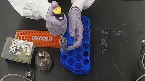 微生物分析的样品制备