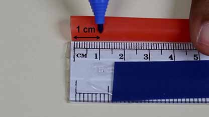 食品检测：蛋白质