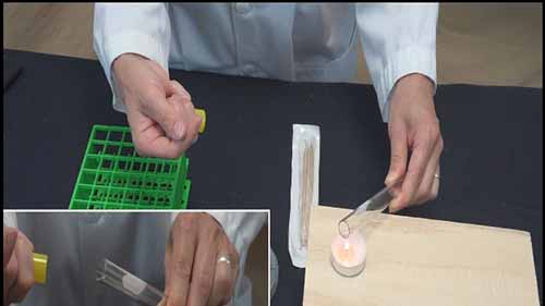 纸片扩散法药敏试验