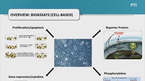 检测发展的讲座