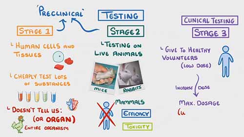 药物研发与检测：临床试验