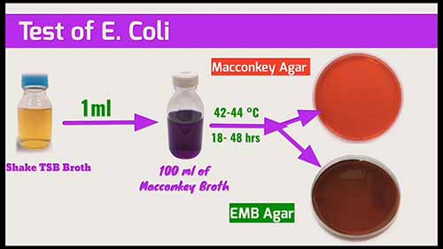 非无菌产品的微生物限度检查