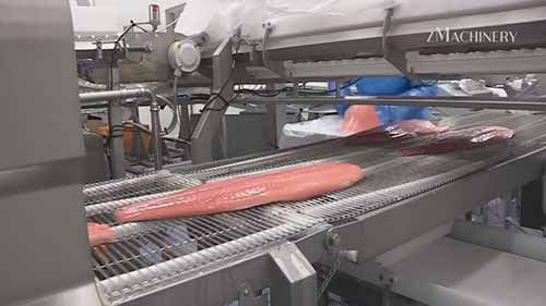 鱼类加工生产线