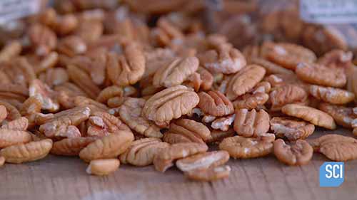 山核桃的加工与生产