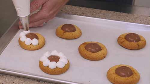 糖果的加工与生产