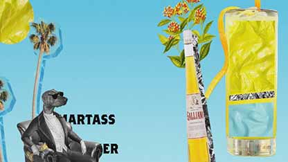 简史：哈维撞墙鸡尾酒