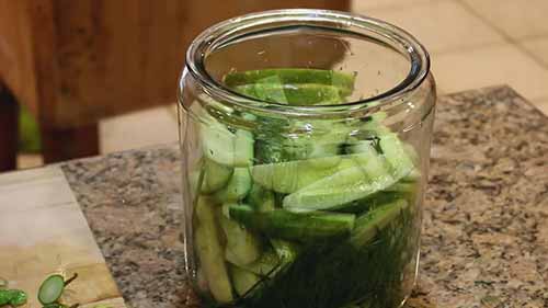 天然发酵的泡菜