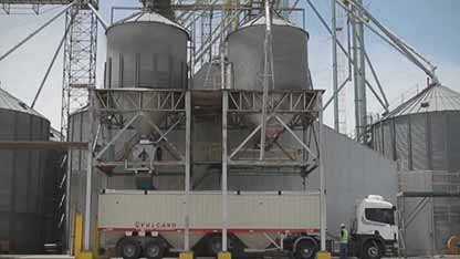 高油玉米种项目