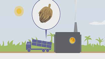 棕榈油的生产01研磨