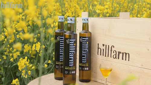 油菜籽的生命周期