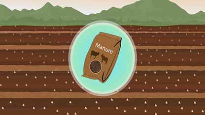 作物生产管理 2整地