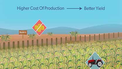作物生产管理 5养分管理