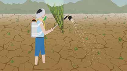 作物生产管理 6除草