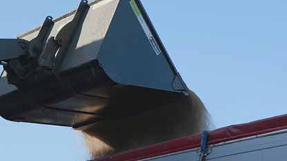 Helix营养检测项目