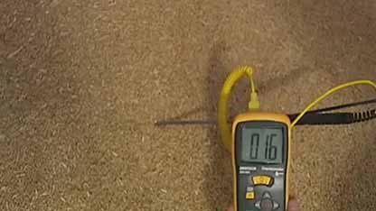 谷物储存：虫害检测