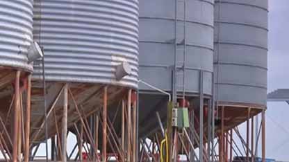 谷物储存：粮仓卫生