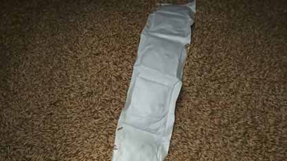 磷化氢环流熏蒸