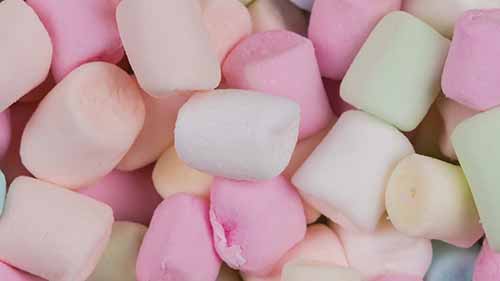 棉花糖的加工与生产