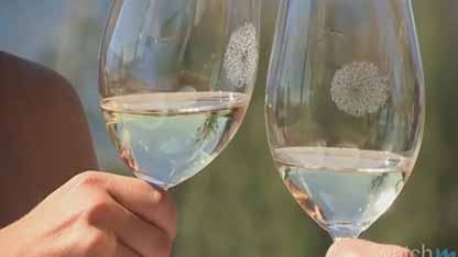 葡萄酒爱好者的十大目的地