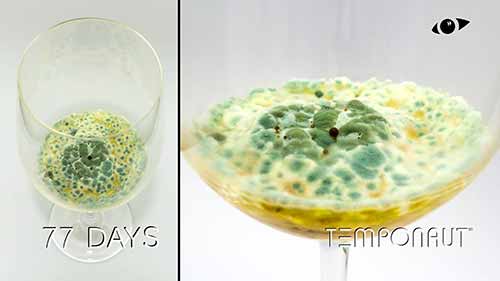 酒水变质的过程