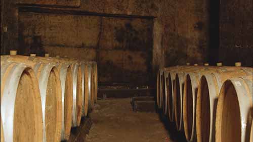 波尔多1855分级制度