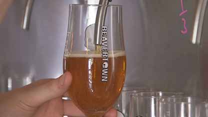 精酿啤酒的酿造