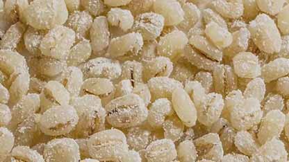 如何使用日本酒曲