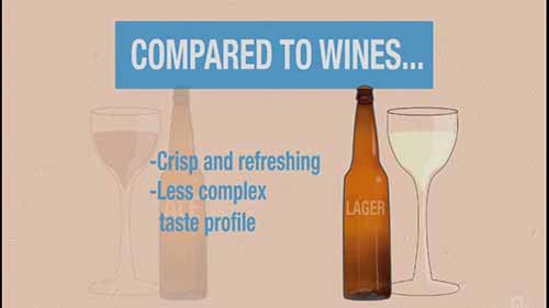 啤酒与化学 3.1啤酒的分类