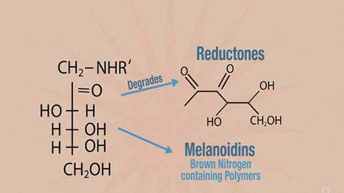 啤酒与化学 4.3美拉德反应
