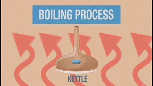 啤酒与化学 6.1煮沸与啤酒花调味