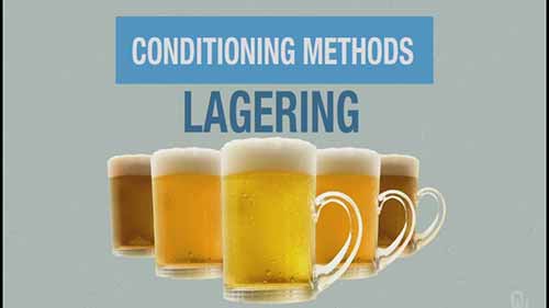 啤酒与化学 8包装