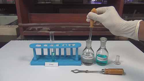 检测尿液中的糖