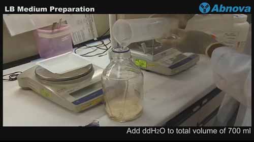 配置液体培养基