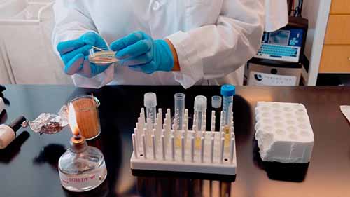 液态细菌培养基的接种操作