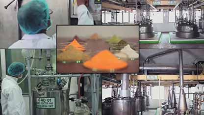 草药提取物制造商