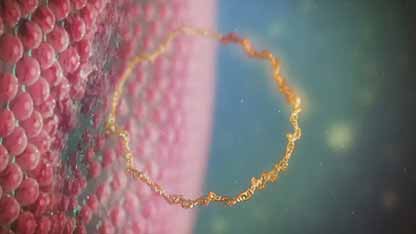 生物制剂的生产