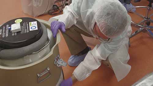 嵌合抗原受体T细胞免疫疗法