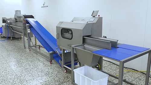 中小企业的果蔬加工器械