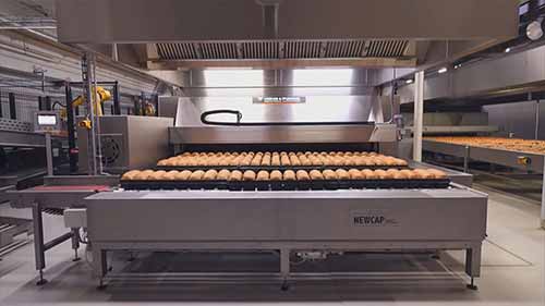 面包的生产与加工