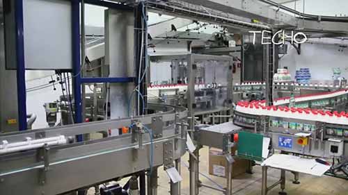 疯狂食品加工：奶酪和牛奶