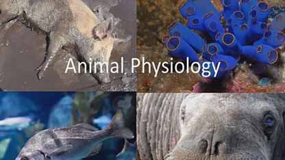 动物生理学